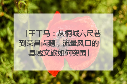 王千马：从桐城六尺巷到荣昌卤鹅，流量风口的县域文旅如何突围