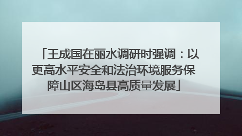 王成国在丽水调研时强调：以更高水平安全和法治环境服务保障山区海岛县高质量发展
