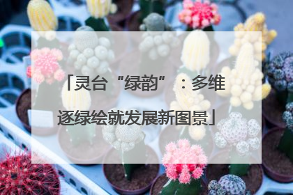 灵台“绿韵”：多维逐绿绘就发展新图景