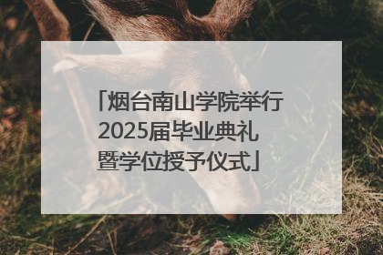烟台南山学院举行2025届毕业典礼暨学位授予仪式