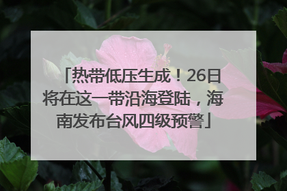 热带低压生成！26日将在这一带沿海登陆，海南发布台风四级预警