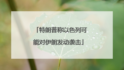 特朗普称以色列可能对伊朗发动袭击
