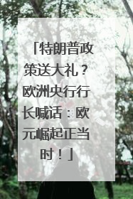 特朗普政策送大礼？欧洲央行行长喊话：欧元崛起正当时！