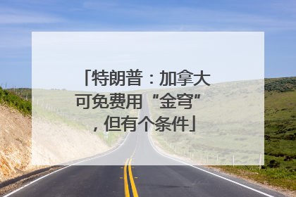 特朗普：加拿大可免费用“金穹”，但有个条件