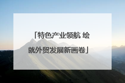 特色产业领航 绘就外贸发展新画卷