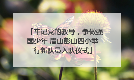 牢记党的教导，争做强国少年 眉山彭山四小举行新队员入队仪式