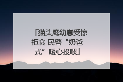猫头鹰幼崽受惊拒食 民警“奶爸式”暖心投喂