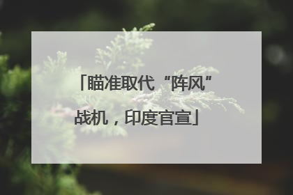 瞄准取代“阵风”战机，印度官宣