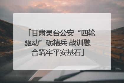 甘肃灵台公安“四轮驱动”砺精兵 战训融合筑牢平安基石