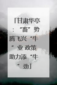 甘肃华亭：“畜”势腾飞兴“牛”业 政策助力添“牛”劲