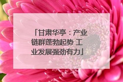 甘肃华亭：产业链群蓬勃起势 工业发展强劲有力