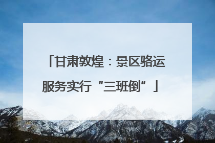 甘肃敦煌：景区骆运服务实行“三班倒”