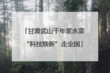 甘肃武山千年浆水菜“科技焕新”走全国