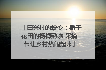 田兴村的蜕变：栀子花田的杨梅熟啦 采摘节让乡村热闹起来
