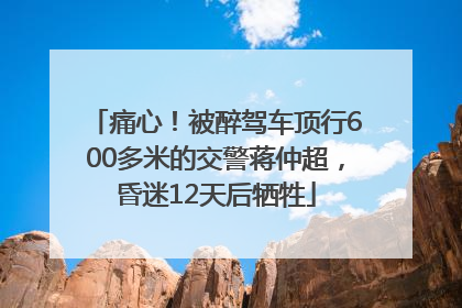 痛心！被醉驾车顶行600多米的交警蒋仲超，昏迷12天后牺牲