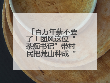 百万年薪不要了！团风这位“茶痴书记”带村民把荒山种成“绿色银行”