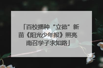 百校播种“立德”新苗《阳光少年报》照亮南召学子求知路