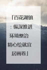 百花湖镇：纵深推进环境整治 精心绘就宜居画卷