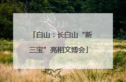 白山：长白山“新三宝”亮相文博会