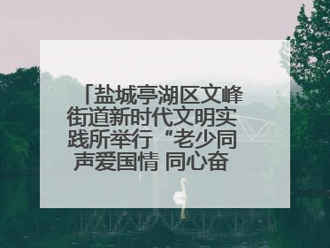 盐城亭湖区文峰街道新时代文明实践所举行“老少同声爱国情 同心奋进新征程”为主题的红色文化活动