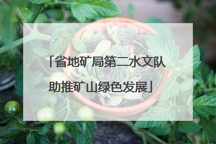 省地矿局第二水文队助推矿山绿色发展