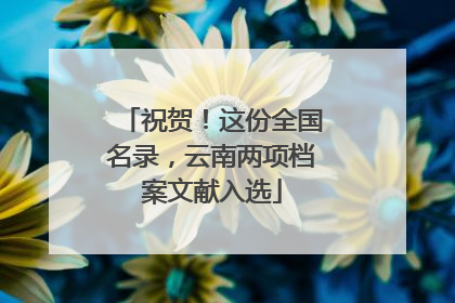 祝贺！这份全国名录，云南两项档案文献入选