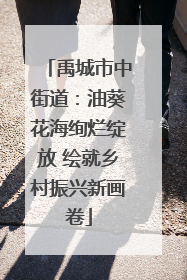 禹城市中街道：油葵花海绚烂绽放 绘就乡村振兴新画卷