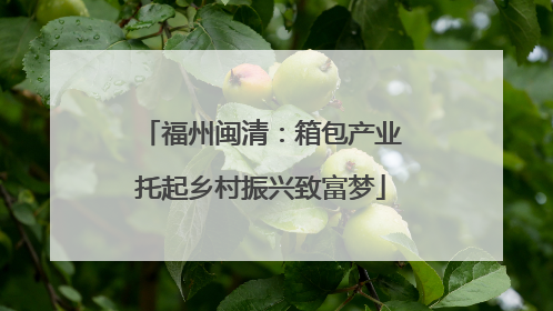 福州闽清：箱包产业托起乡村振兴致富梦