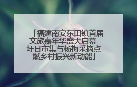 福建南安东田镇首届文旅嘉年华盛大启幕 圩日市集与杨梅采摘点燃乡村振兴新动能