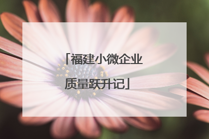 福建小微企业质量跃升记