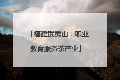 福建武夷山：职业教育服务茶产业