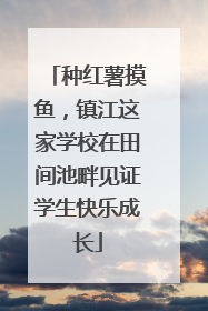 种红薯摸鱼，镇江这家学校在田间池畔见证学生快乐成长