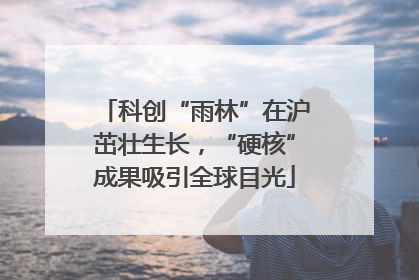 科创“雨林”在沪茁壮生长，“硬核”成果吸引全球目光