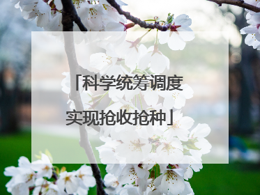科学统筹调度实现抢收抢种