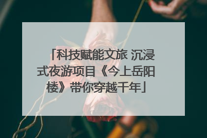 科技赋能文旅 沉浸式夜游项目《今上岳阳楼》带你穿越千年