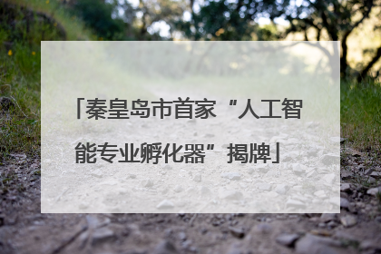 秦皇岛市首家“人工智能专业孵化器”揭牌