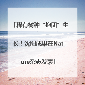 稀有树种“抱团”生长！沈阳成果在Nature杂志发表