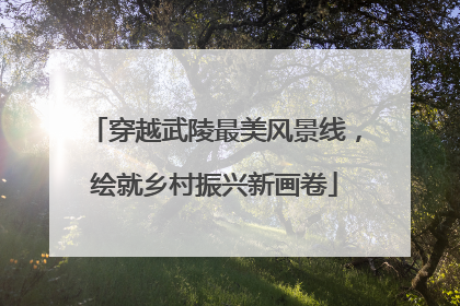 穿越武陵最美风景线，绘就乡村振兴新画卷
