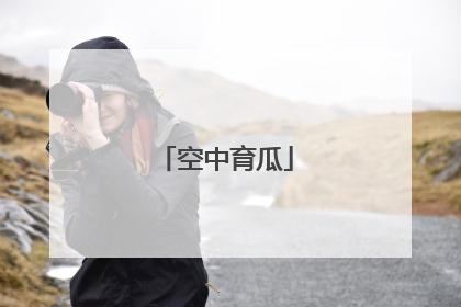 空中育瓜
