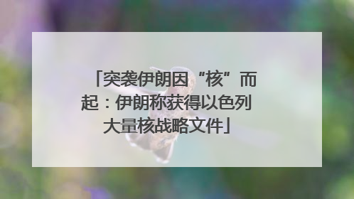 突袭伊朗因“核”而起：伊朗称获得以色列大量核战略文件