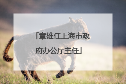 章雄任上海市政府办公厅主任