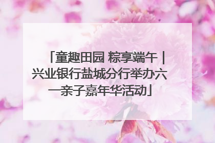 童趣田园 粽享端午｜兴业银行盐城分行举办六一亲子嘉年华活动