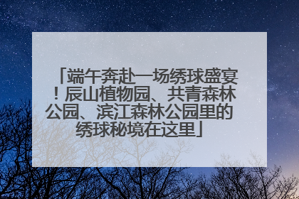 端午奔赴一场绣球盛宴！辰山植物园、共青森林公园、滨江森林公园里的绣球秘境在这里