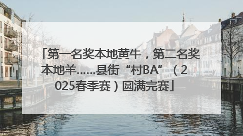 第一名奖本地黄牛，第二名奖本地羊……县街“村BA”（2025春季赛）圆满完赛