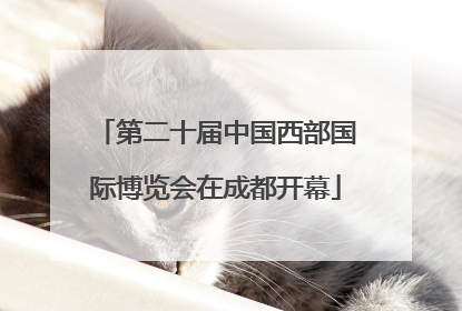 第二十届中国西部国际博览会在成都开幕