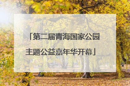 第二届青海国家公园主题公益嘉年华开幕