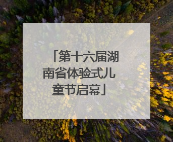 第十六届湖南省体验式儿童节启幕