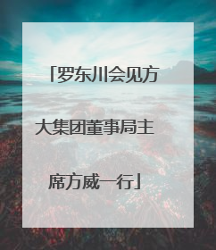 罗东川会见方大集团董事局主席方威一行