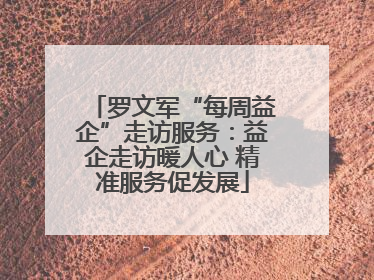 罗文军“每周益企”走访服务：益企走访暖人心 精准服务促发展