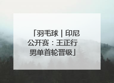 羽毛球｜印尼公开赛：王正行男单首轮晋级